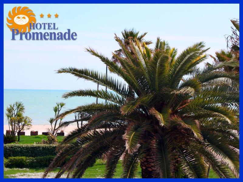 Hotel Promenade Porto SantʼElpidio Buitenkant foto